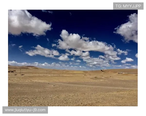 开云真人带你领略最真实的娱乐体验，揭秘幕后故事尽在其中