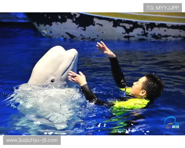 通过88娛樂手机官方地址,轻松开启您的娱乐新世界之旅 通过88娛樂手机官方地址,轻松开启您的娱乐新世界之旅